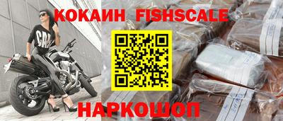 крисы Гусев