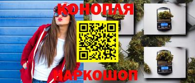крисы Гусев